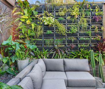 43 Grove Street, Lilyfield NSW 2040 - House For Rent | Domain - Photo 4