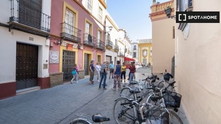 seville, Andalusia 41010 - Photo 4