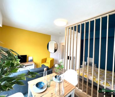 Location Appartement 1 pièce 25m² ST ETIENNE 42100 - Photo 1