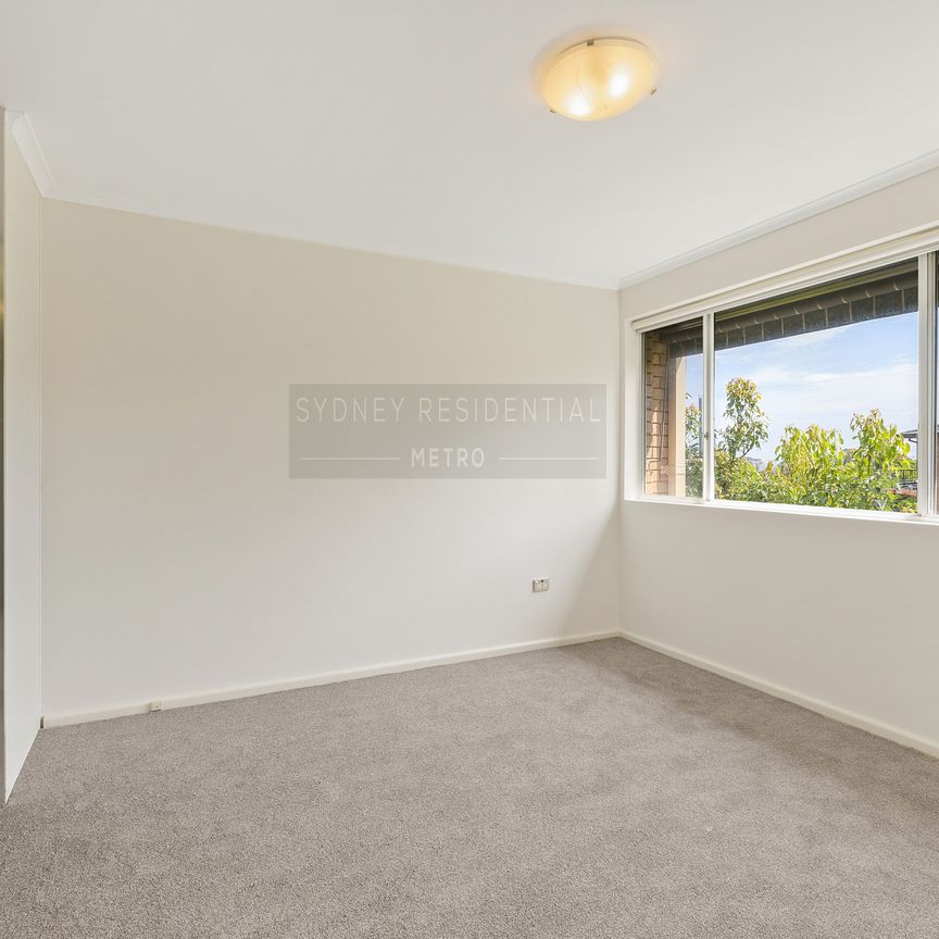 2/113 Ben Boyd Road, Neutral Bay NSW 2089 - Townhouse For Rent | Domain - Photo 1