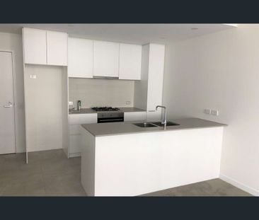 B3305/50 Pemberton St, Botany, NSW 2019 - Photo 5