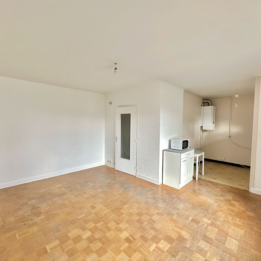 Location Appartement 1 pièce 28m² SEYSSINET PARISET 38170 - Photo 1