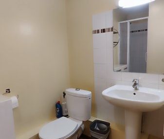 Appartement 1 Pièce 19 m² - Photo 3