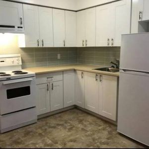 Per friendly renovated one bedroom!Kitsilano - Photo 2