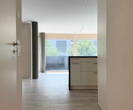 TIERSTEINBLICK - Exklusive 4.5-Zimmer-Wohnung in Gipf-Oberfrick - Hier werden Wohnträume wahr! - Photo 2