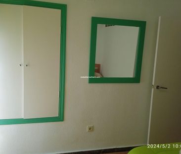 Bungalow Benidorm Winter holiday let - Photo 4