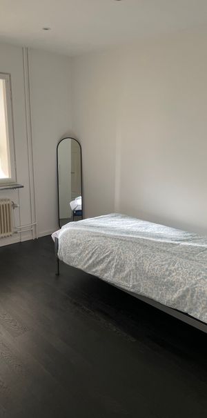 Albinsrogatan, Malmö - Photo 2