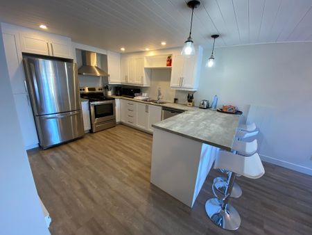 2 Ch. du Domaine-Pagé - Photo 4