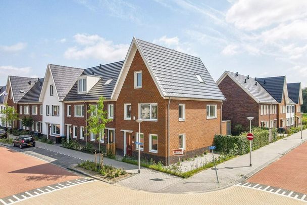 Knobbelzwaan 121 - Photo 1