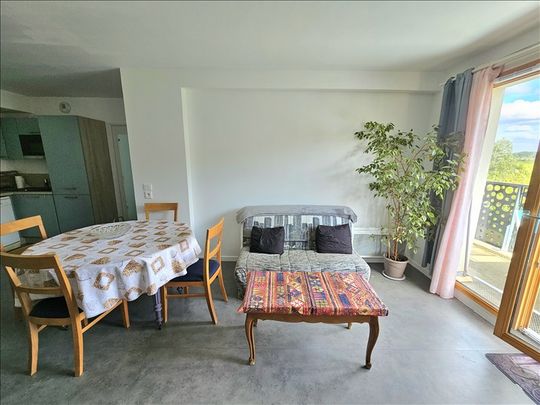 3 pièces - Meublé - 60 m² - 1er étage - Colocation non autorisée - Photo 1