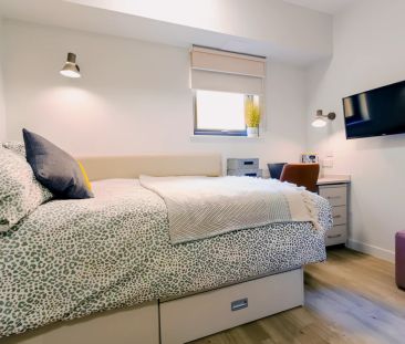 Block B Penthouse Studio - Photo 2