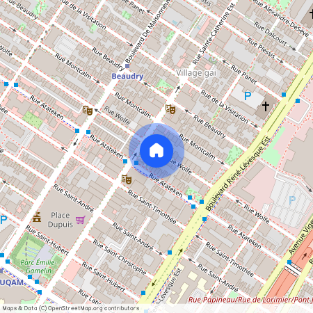 Nouveauté, 1314 Rue Wolfe, app. 1314, Montréal (Ville-Marie), H2L3J3