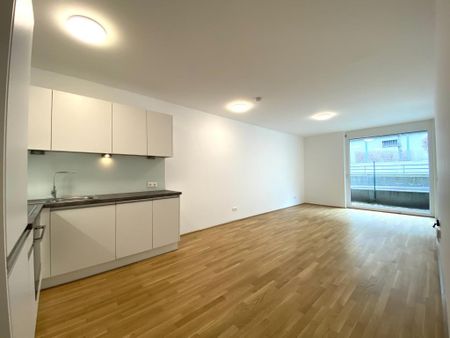 Moderne Terrassenwohnung mit kl. Garten - U6 Nähe!! - Photo 3