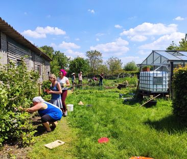 Kamer in De Groene Doening - Foto 4