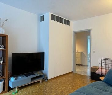GIORNICO – Renovierte 4-Zimmer-Wohnung – 100 m² - Photo 3