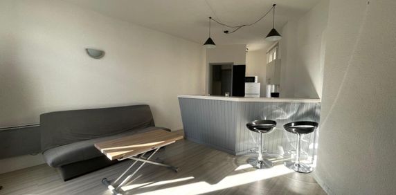 Location Appartement 2 pièces 39m² BEZIERS 34500 - Photo 2