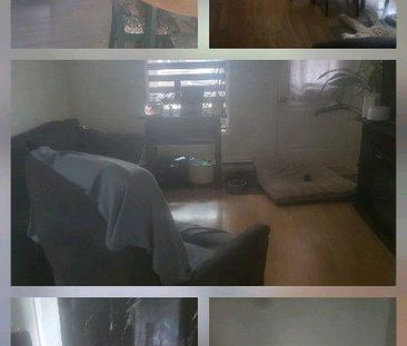 appartements à louer 3et demi - Photo 1
