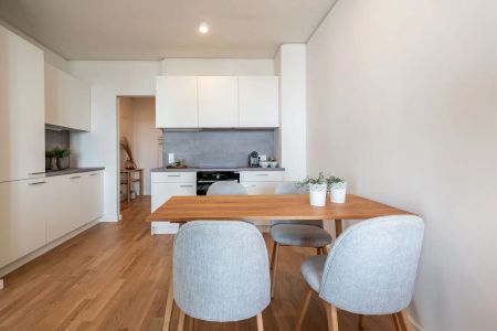 1,5 ZIMMER | BALKON | VIENNA TWENTYTWO | ERSTBEZUG IN DER NEUEN DONAUSTAT | MIETBEGINN AB 1. APRIL - Photo 5