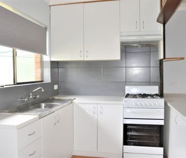 CBD & LOW MAINTENANCE - Photo 2