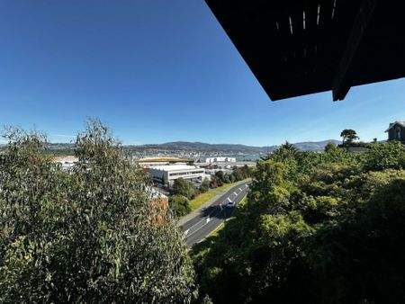 Belmont Lane - one of the best kept secrets! - Photo 3