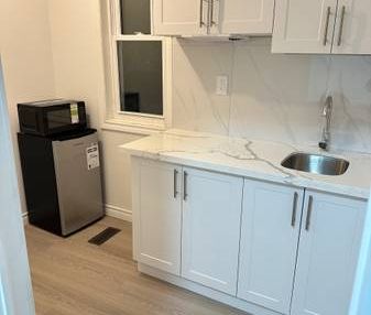 $1,350 / 1br - 100ft2 - Studio (Toronto) - Photo 2