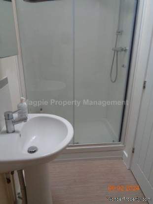 3 bedroom property to rent in St Neots - Photo 4