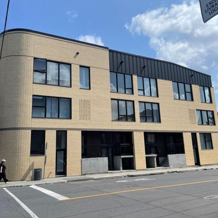 2487 Rue De Cadillac, H1N 2T9, H1N 2T9, Montréal - Photo 1