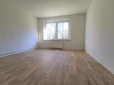 WILLKOMMEN IM GEISELTAL - Photo 5