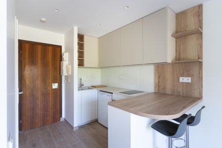 Location Appartement 1 pièce 20m² ANNECY LE VIEUX 74940 - Photo 3