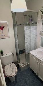 Location Appartement 1 pièce 23m² NICE 06200 - Photo 3