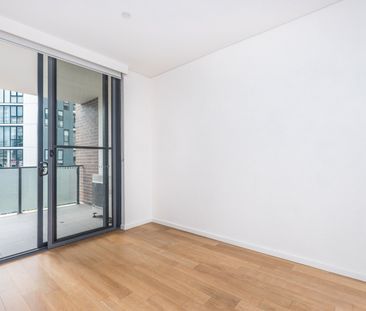 C213/1 Muller Lane, Mascot NSW 2020 - Apartment For Rent | Domain - Photo 2