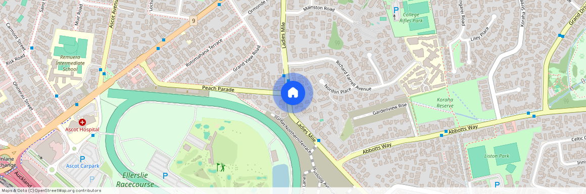 54 Ladies Mile, Remuera, Auckland City