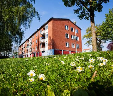 Solrosvägen 6 A - Photo 4