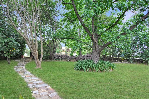 Spacious Three bedroom plus study family home - Photo 1