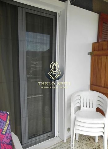 Studio/Γκαρσονιέρα για ενοικίαση Πόρτο Ράφτη (Μαρκόπουλο) - Photo 5