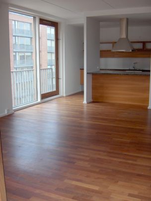 Dejlig lejlighed på Islands Brygge - Photo 1