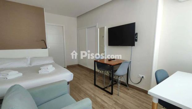 Estudio en alquiler en Paseo de la Castellana - Foto 1