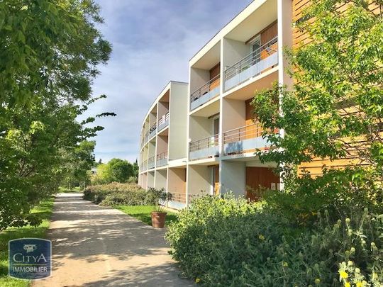Location Appartement 1 pièce 24m² MONTFAVET 84140 - Photo 1