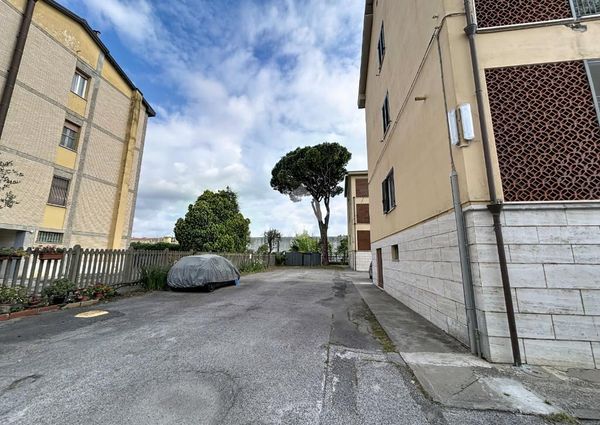 5 locali in affitto