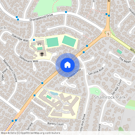 815 Chapel Road, Shamrock Park, Manukau City