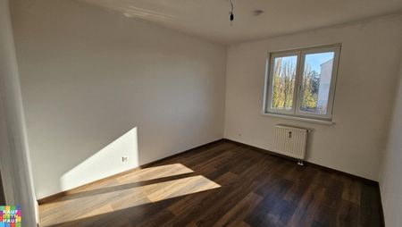 PROVISIONSFREI! INKLUSIVE ABSTELLPLATZ! - Photo 3