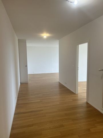 Malagnou - Champel - Appartement au 8ème étage en attique - Photo 5