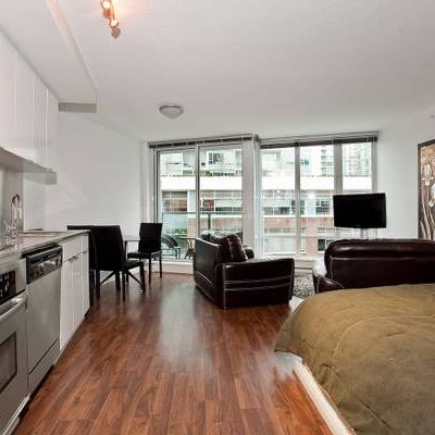 Available December 1st- Pet Friendly Furnished Studio @233 Robson - Photo 4