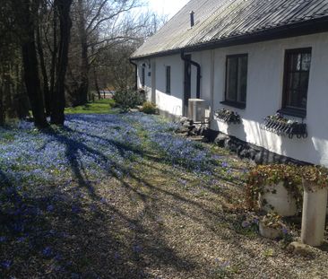 SKOTTARP ELLVEDE 114 - Photo 4