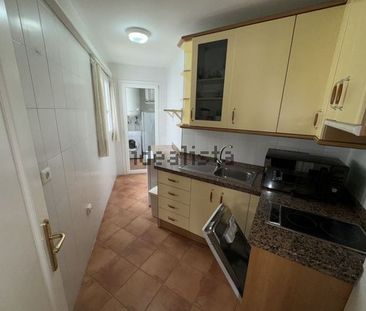 Alquiler de piso en Avenida Playas del Duque, 2 -5 - Photo 2