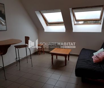 Location Appartement 2 pièces 27m² FAMARS 59300 - Photo 4