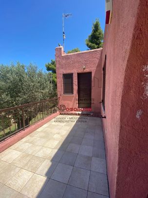 Μονοκατοικία για ενοικίαση Κέντρο Μαρκόπουλου Ωρωπού (Μαρκόπουλο Ωρωπού) - Photo 1