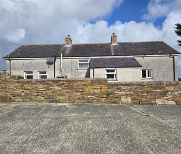 177 Strangford Road, Strangford, Downpatrick, BT30 7JP - Photo 1