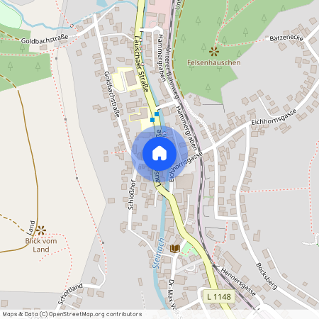 Lauschaer Straße 6, 96523 Thüringen - Steinach