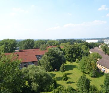 Demnächst frei! 1-Zimmer-Wohnung in Detmold Knochenbach - Foto 4